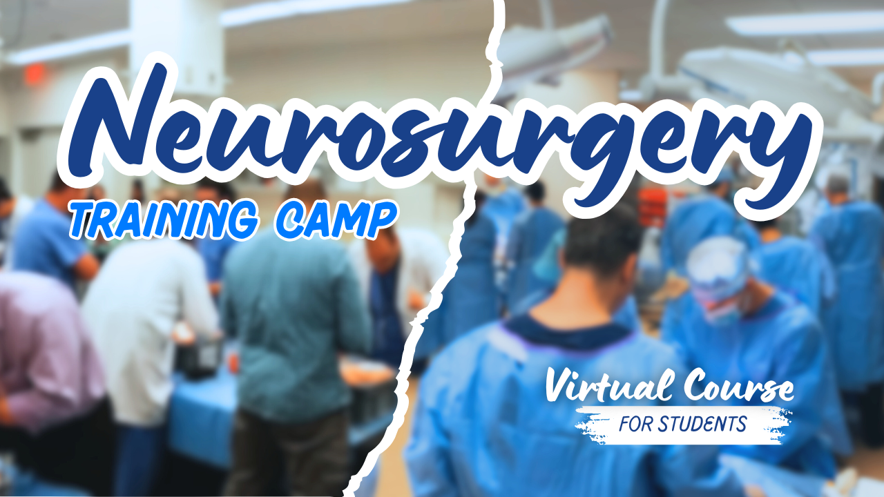 Virtual Neurosurgery Training Camp MSNTC