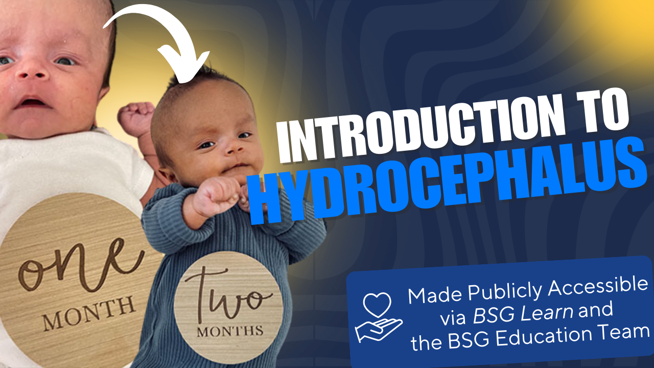 Introduction to Hydrocephalus NSGY 2